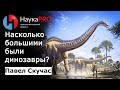 Насколько большими были динозавры? – палеонтолог Павел Скучас | Научпоп