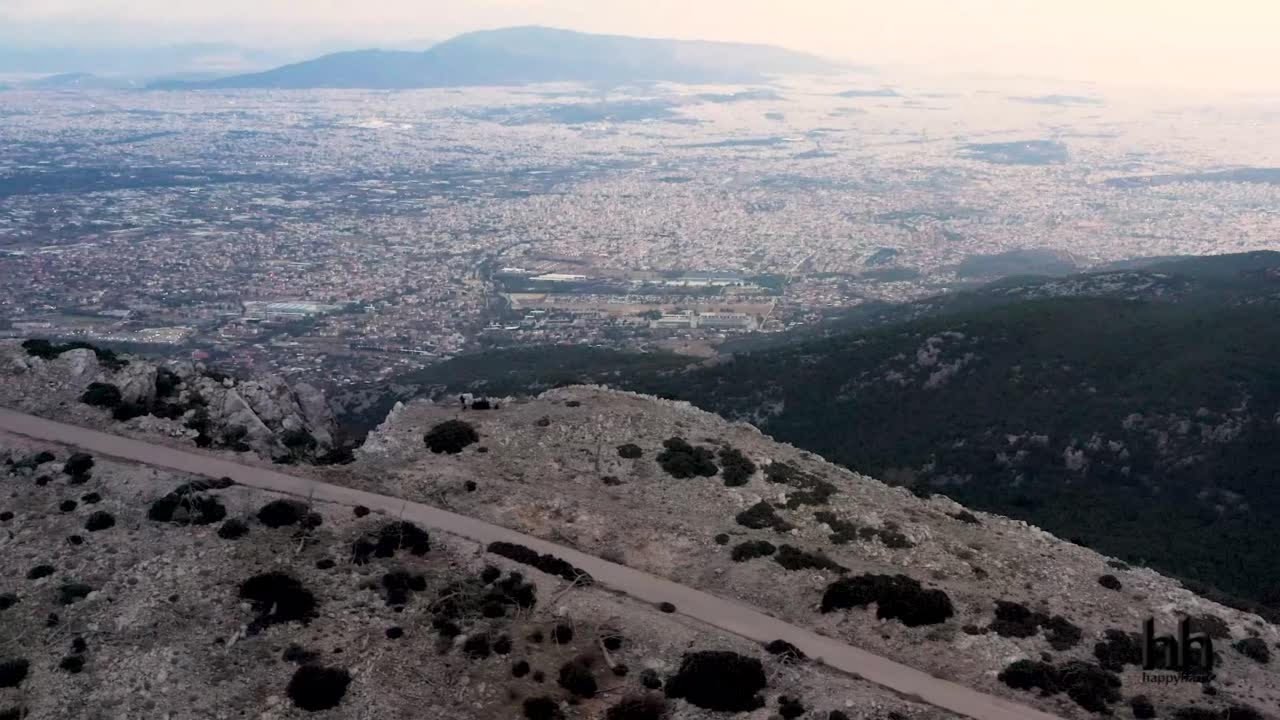 Black Coffee ft. Zonke Gardens Of Eden (happyharry remix) YouTube