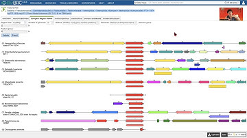Anatomy of the Compare Region Viewer