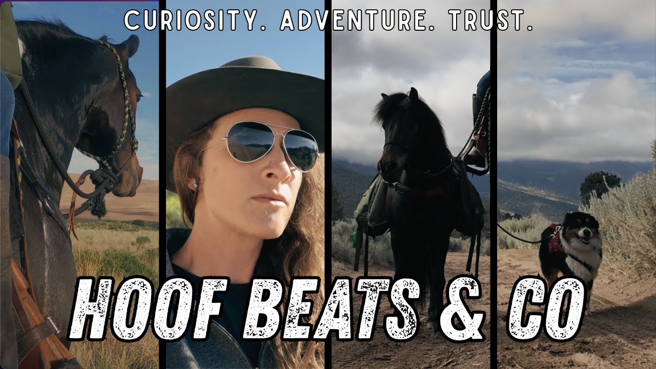 Добро пожаловать в Hoof Beats & Co.