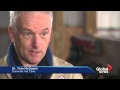 Everyday Hero: Rescuing mistreated horses