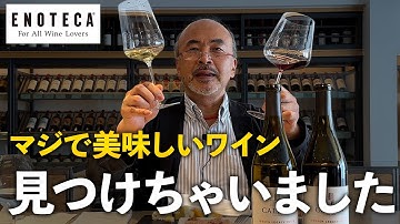 エノテカ本店でイチオシのカリフォルニアワインを堪能しました