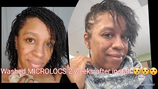 When to wash your microlocs after install...I did it!