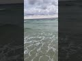 Pensacola Beach Shore Shark Encounter