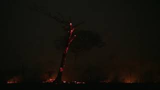 The Forest on Fire - Part 1 Bolivia - English