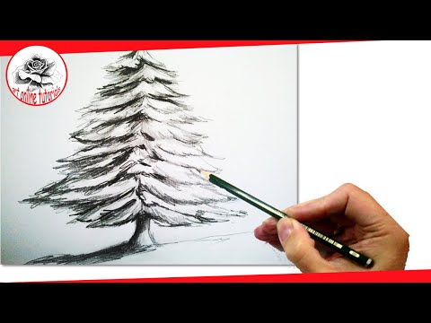 Video: How To Draw A Christmas Tree In Stages