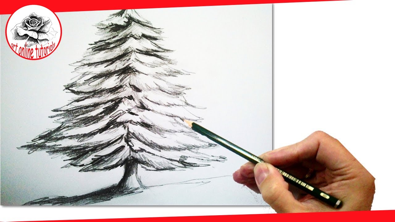 How to Draw a Realistic Christmas tree with pencil | #Draw ...