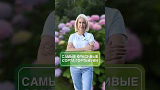 ТОП-3 необычных гортензии для вашего сада 😍 #сад #цветы #гортензии