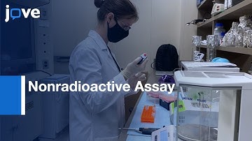 Nonradioactive Assay to Measure Polynucleotide Phosphorylation | Protocol Preview