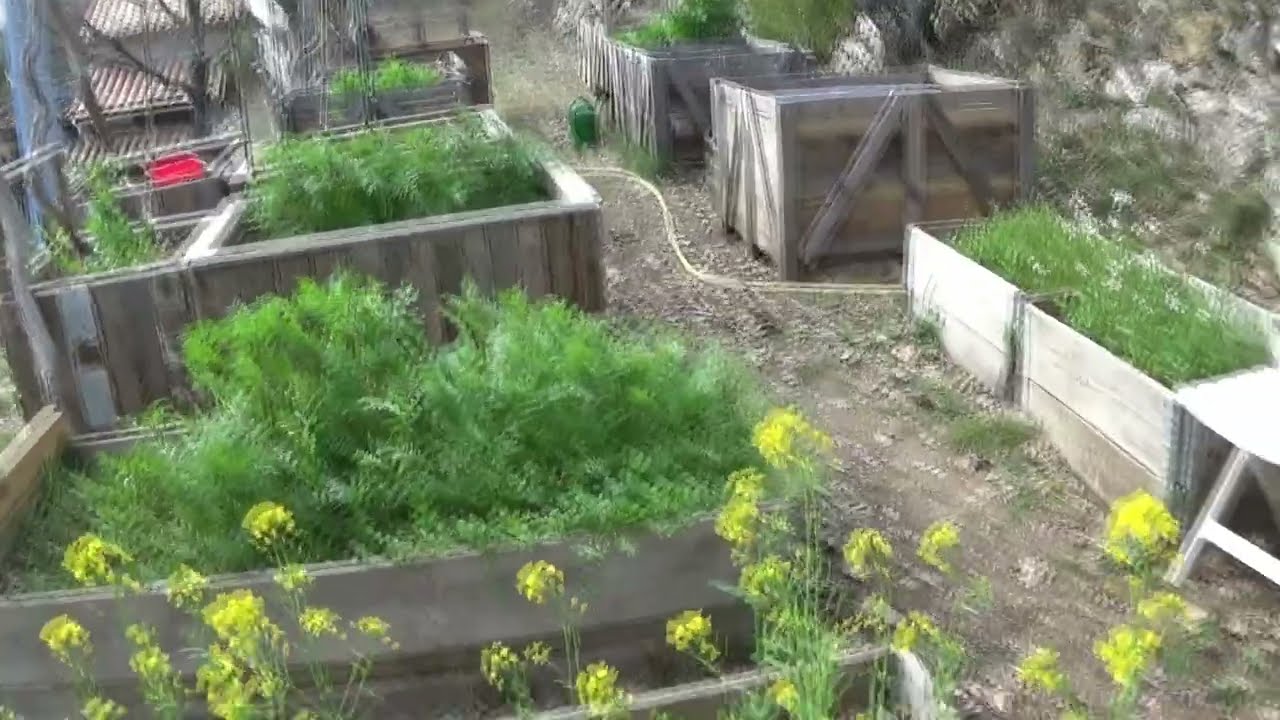 Le POTAGER de MARS 2026