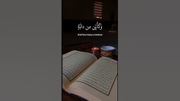 #ترند #explore #quran #الجمعة #تلاوة #تلاوة_خاشعة #allah #explorepage #قرآن #محمد_ﷺ