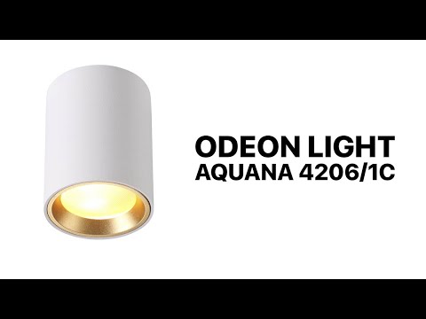 Video: Luster Odeon Light (44 Fotografije): Karakteristike Stropnih Visećih Svjetiljki, Recenzije
