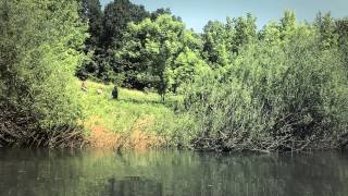 L.I.P.E. - ZORJA (redateljska verzija)