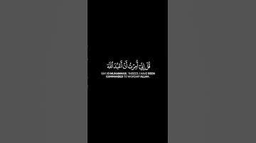 {قل إني أمرت أن أعبد الله مخلصا له الدين} كروما آيات القرآن الكريم - ماهر المعيقلي | سورة الزمر