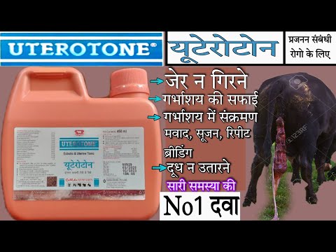 Uterotone syrup ke fayde 450ml900ml @Veterinary Medicine Review Hindi composition price use dosage
