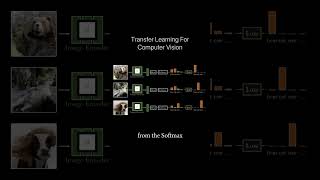 How Transfer Learning Boosts AI Models (Even with Small Data) #ai #transferlearning #education