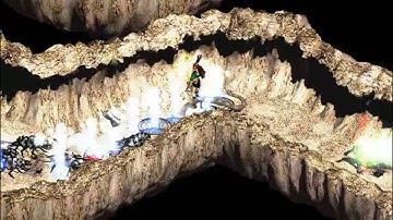 Median XLU -How to kill Brachyceran