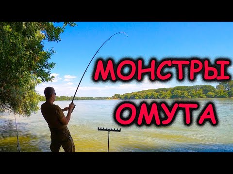 РЫБАЛКА на реке ДУНАЙ - КАК ловить рыбу в Дунае?! МОНСТРЫ ОМУТА! Ловля сома с берега ОСЁТР СОМ ЖЕРЕХ