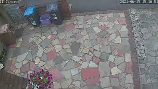 Mitcham Mum - Hanging Basket Thief