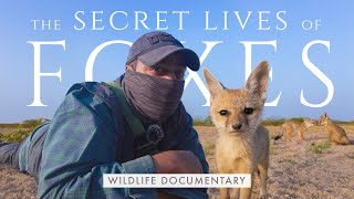 The SECRET LIVES OF FOXES  Little Rann of Kutch Wildlife Documentary | DESERTS OF INDIA Finale