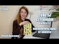 СОВЕТЫ СЕТЕВИКАМ | КАК ПОЛУЧИТЬ ЗАКАЗ От Клиента | Выпуск 5