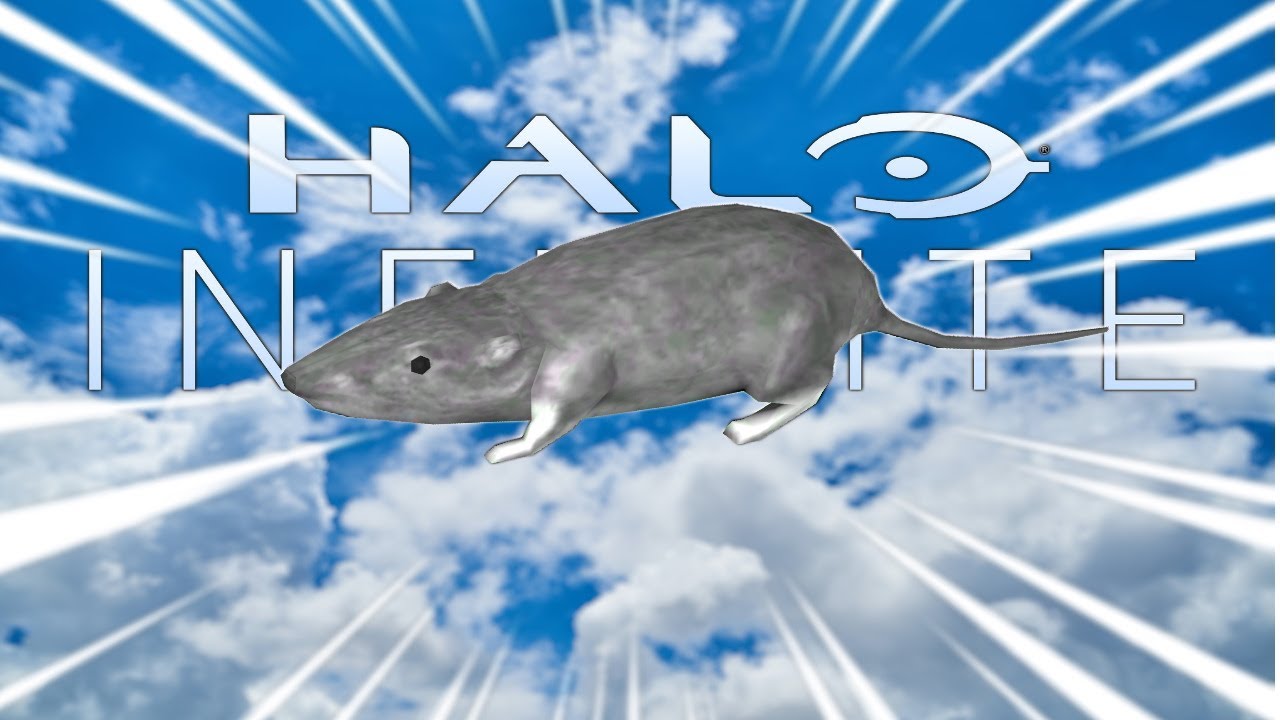 Halo Infinite is the best thing to come since Halo 3 Rat
