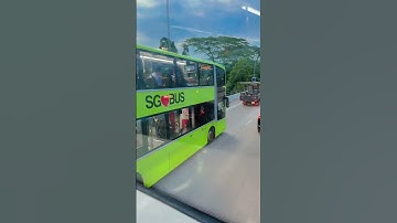 Big bus night tour Singapore #singapore #bus #shorts #short