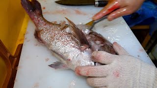 ซาซิมิชิ้นหนาและปลาหมึกยักษ์ย่าง - อาหารข้างทางแบบเอเชีย