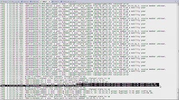 4 3 Mobility Group Configuration   CCNA Wireless 200 355