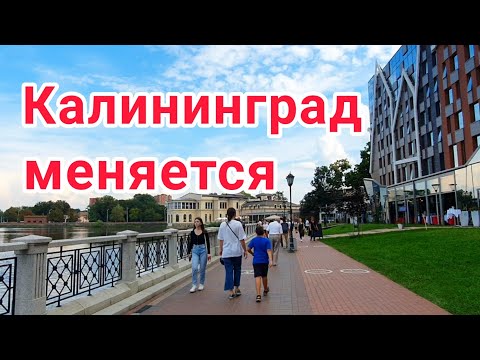 Video: Ku Të Shkoni Në Kaliningrad