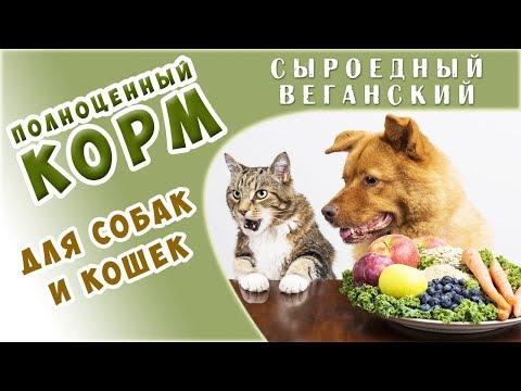 Лучшие в Мире Веганские СЕ Корма для КОШЕК и СОБАК - впервые в России! Сенсация!