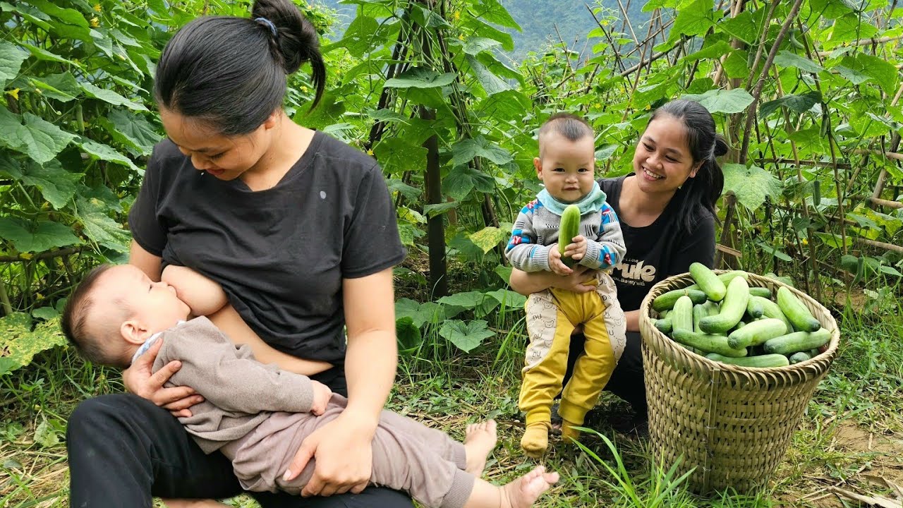 .Single mom. - 5 days of building a house, picking cucumbers to sell and taking care of the children