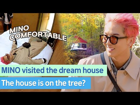 Video: Casa en el Bosque: Di Mana Desain Bertemu Alam