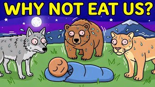 Why Wild Predators Never Attack Sleeping Humans
