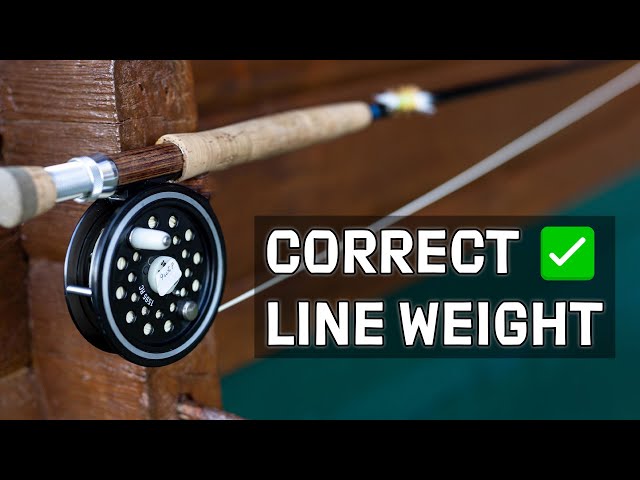 Choose the BEST Line Weight for ANY Fly Rod