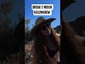 Droga z moich koszmarów