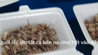 2 anh em đánh 40 hộp tiết canh đông đặc:giản di thôn quê.#1838