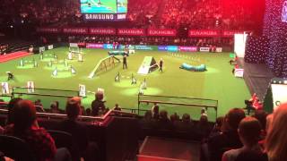 Bitz and Jo Tristram Crufts 2015