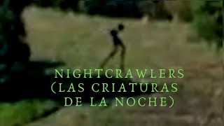 LAS CRIATURAS DE LA NOCHE (THE NIGHTCRAWLERS) VIDEOS REALES