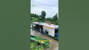 Bùn đặc sệt nhằm tưởng nước nhiều CÁI KẾT | vùng quê MINH CÔNG