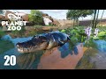 ALIGATOR AMERICANO chegou no zoo + América do Norte e Europa - Planet Zoo  #20