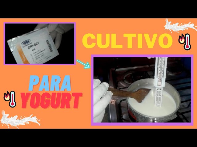 Cultivo - fermento para Yogurt para 1 litro leche - El Secreto de