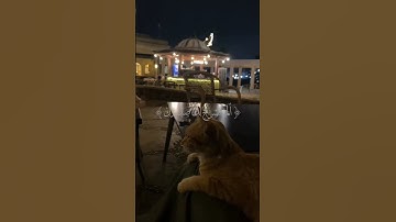 سورة الشرح 🤍