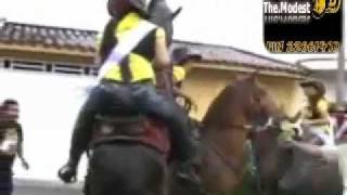 حصان يغتصب بنت حصان يغتصب بنت