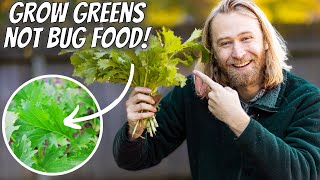 5 Easy Salad Greens Anyone Can Grow at Home by Nextdoor Homestead 4,652 views 10 months ago 14 minutes, 46 seconds