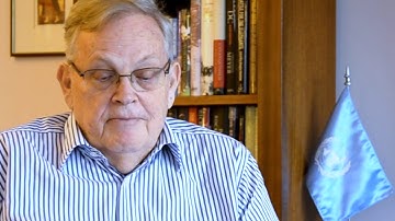 Introduction to the UN System - Lesson 2