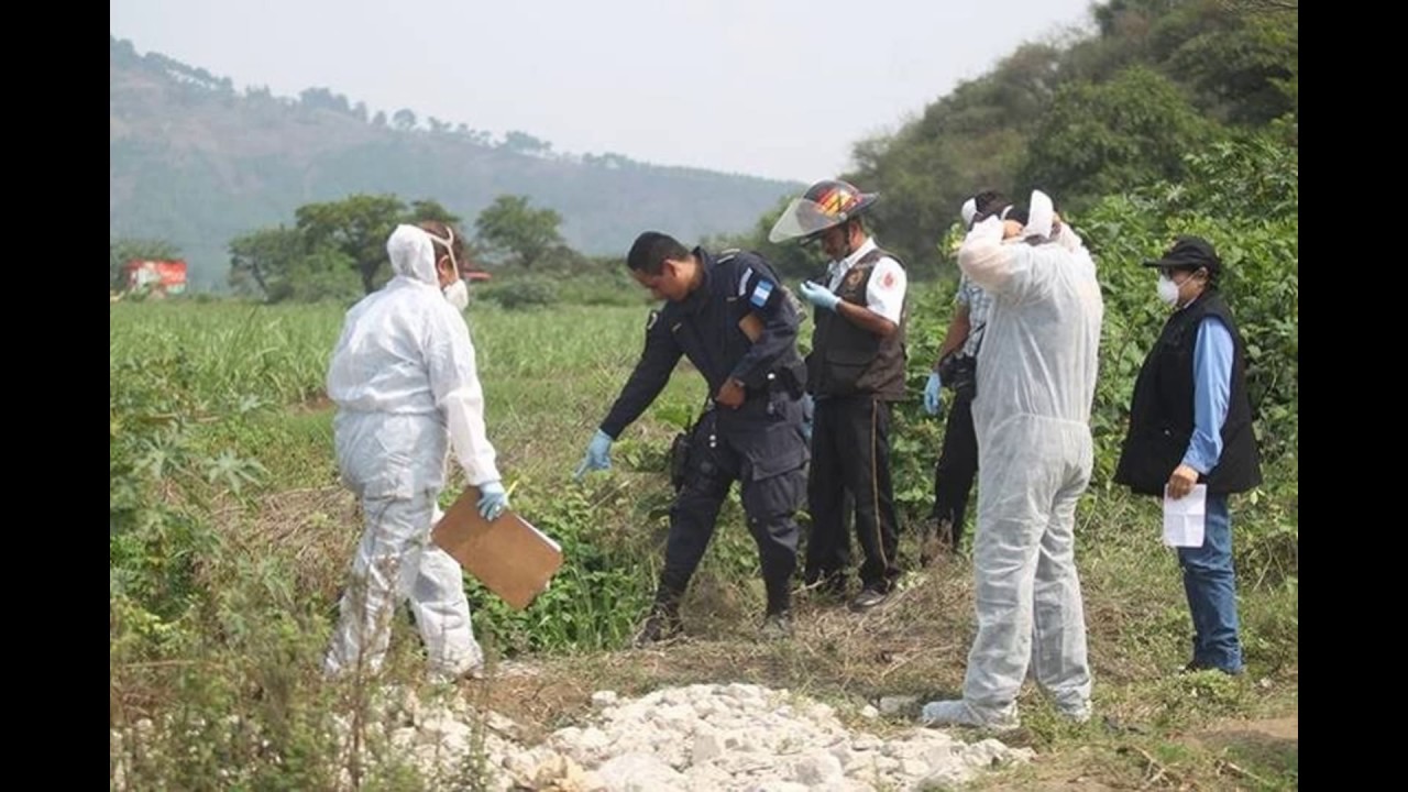 criminalistica de campo - YouTube