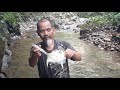 Catch fish using speargun(panah) day and night, built auto trigger fishing rod. Rainforest survival