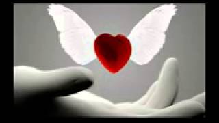 Erkan Acar Yalanlar Yeni Youtube