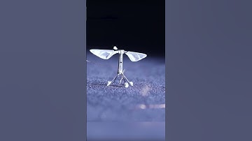 This robot is as tiny as a bee